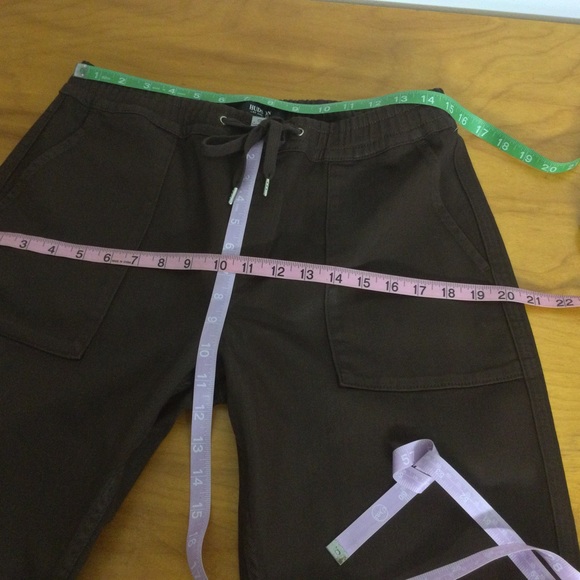 Hudson Utility Jogger Pant Size M Drawstring Pocket In Coated Chicory Coffee - Picture 12 of 14